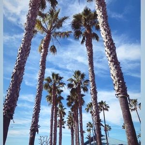 Meet your Posher, Sylvia